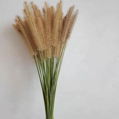 40Pcs/bunch Raw Color Natural Dried Dog Rabbit Tail Flowers Bouquet Wedding Home Decoration Real Flowers