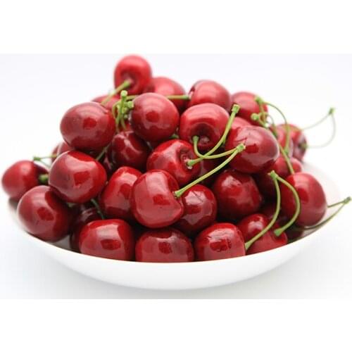 10pcs simulation toy Toy Fruit And Vegetables Simulation Vegetable False Cherries Teaching Props Dining Room Decoration
