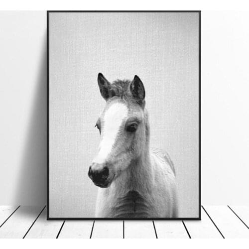 Black White Baby Horse Canvas Painting Art Print Poster Picture Wall Modern Minimalist Bedroom Living Room Decoration