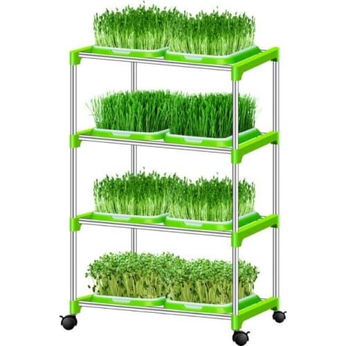3Sets Double Layer Bean Sprouts Plate Seedling Tray Planting Dishes Growing wheat seedlings Nursery Pots Home Garden plant tools