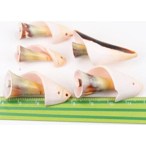 Natural Spiral Shell SeaShells Zeeschelp for DIY handmade Home decoration jewelry making Scrapbooking Craft 5pcs 30-40mm