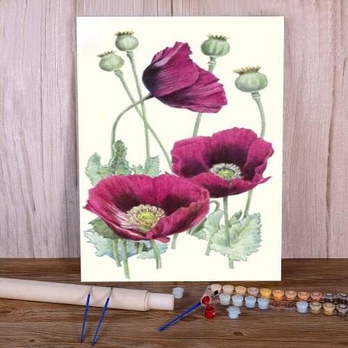 Poppy Flowers Paint By Numbers Set Oil Paints 50*70 Boards By Numbers Decorative Paintings For Adults Handicraft