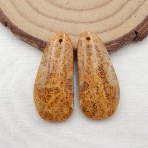 Natural Indonesian Fossil Coral fashion Semi-precious stones, Jewelry accessories women Earrings Bead42x14x5mm 7.7g