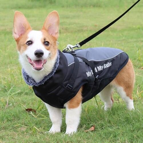 Autumn Winter Big Dog Clothes Coat Warm Hoodie Jacket Border Collie Labrador Husky Corgi