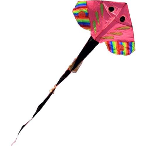 NEW High Quality Single Line Power Fish Kite With 4m Long-Tail /Send Handle And Line Good Flying
