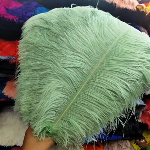 Hot Sale 100pcs/lot High Quality Light Green Ostrich Feather 40-45cm/16-18inch Party Dancers Diy Wedding Feathers for Crafts