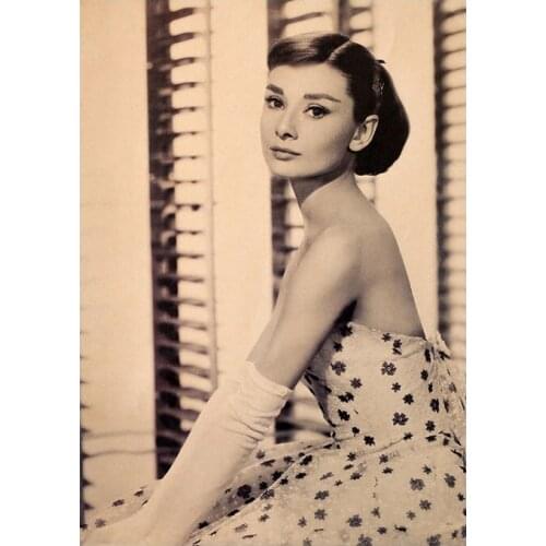 Famous movie star Hepburn O floral dress white gloves long hair portrait vintage kraft paper poster bar home cafe decor painting