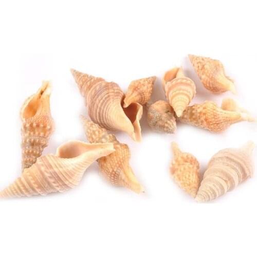 10pcs Fashion Natural Stripe Spiral Seashells For Glass Bottle Shells Home Decor DIY Scrapbooking Craft Accessories tr0282