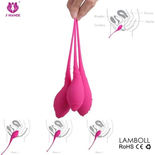 3pcs/set Smart Kegel Ball Vagina Tighten Aid Love Geisha Ball ,Ben Wa Ball,Vagina Tight Trainer Vibrators Sex Toys for Women