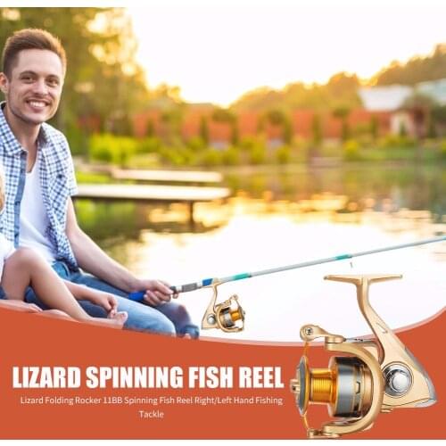 Hot Sale Fishing Reels Solid Color Classic Delicate Lizard 11BB Spinning Fishing Reel Right/Left Hand Interchangeable Fish Reels