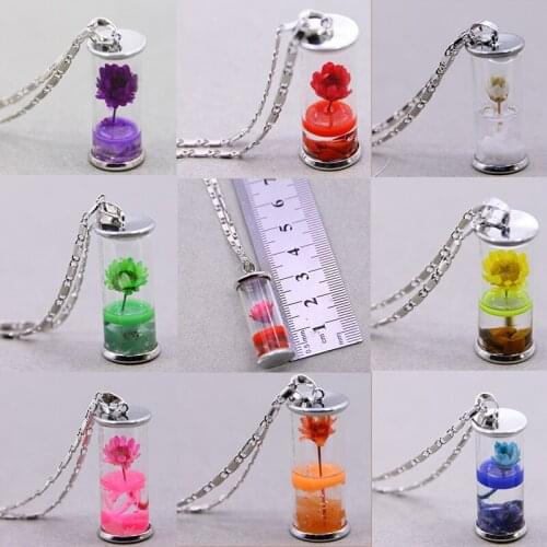 Exquisite creative multi-color dry vase necklace glass bottle ladies necklace transparent sparkling girl pendant gift