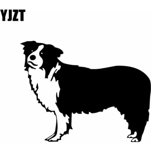 YJZT 14.2X11CM Vinyl Decal Window Art Outdoor Decor Border Collie Dog Animal Pet Car Sticker Black/Silver C24-1276