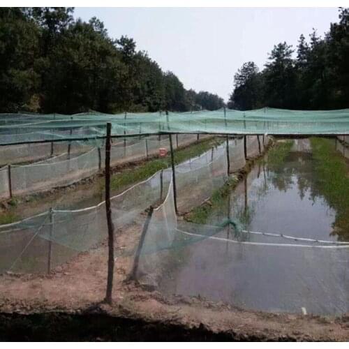 Bold line Garden fence mesh safety poultry farming and pets Simple Breeding fishing net & Catching bird nets of Drop shipping