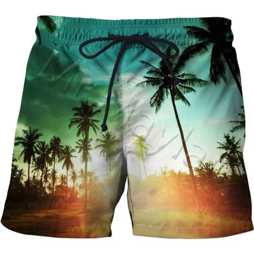 Summer Quick Dry 3D Surfing Shorts Male Beach Printed Sport Swiming Shorts Mens Vacation Beach Shorts Man