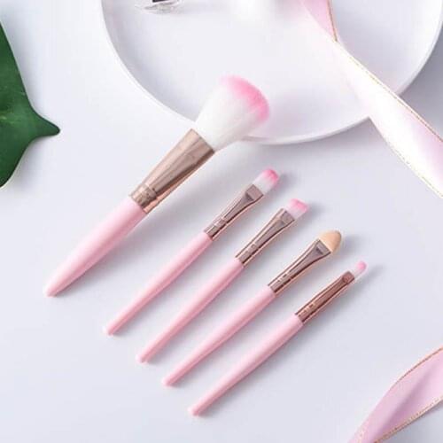 5Pcs/set Makeup Brush Set fiber Blush Brush Eye Shadow Eyeliner Brush Lip Brush Beginner Beauty Tools Cosmetic kit