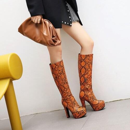 Snake Print Knee High Boots Women Ultra High 12cm Heels Platform Boots Woman Snake Skin PU Leather Zipper Long Tall Boots Shoes