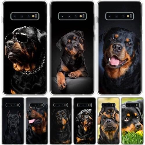 Cute Rottweiler Dog Phone Case For Samsung Galaxy A50 A70 A30S A51 A71 A10 A20E A40 A90 A20S M30S A6 A7 A8 A9 Plus Coque