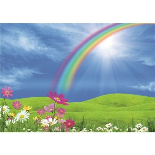 ZHISUXI Vinyl Custom Photography Backdrops Prop fairy tale Theme Photography Background #s20428-05