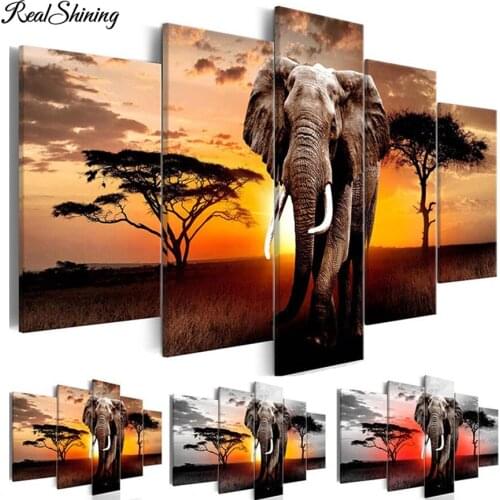 5 Pieces Wild Animal 5d diy diamond Painting sunset elephant pictures scenery full square/round drill diamond embroidery