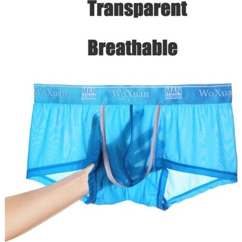 Mens Underwear Penis Boxers Ice Silk Seamless Boxer Shorts Transparent Breathable Low Rise Underpants Boxershorts Homme Panties