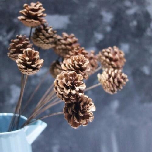 Floral Preserved For Decor Christmas Ornaments Shooting Props Dried Flowers DIY Craft Accessories Natural Pinecones Lotus Cotton