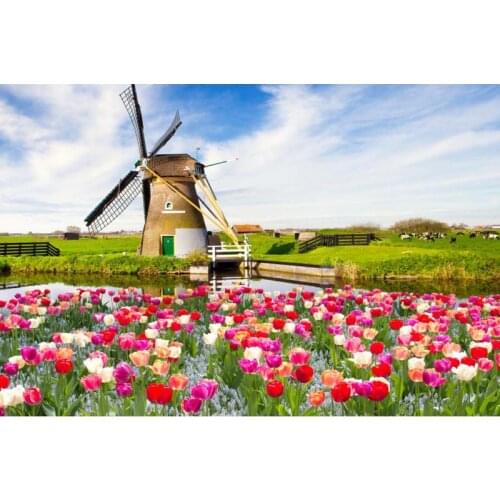 Dutch windmill Canvas Fabric Cloth Poster Custom Art Canvas print Professional Home Wall Decoration