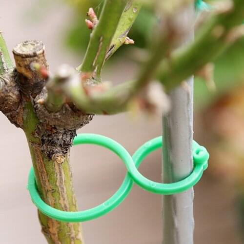 50Pcs Plant Fixture Clips Garden Plant Holder Trellis For Vine Vegetable Home Growing Upright Holder Fixture Clips Tomato Tools