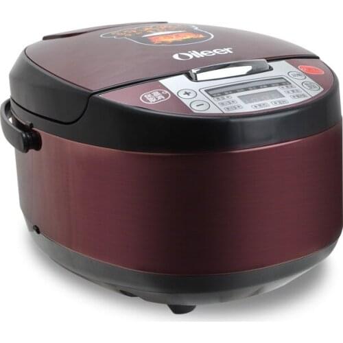 Household New Style 220V Purple Casserole Pot with Multifunctional Timed Appointment Health Preservation Ceramic Pot