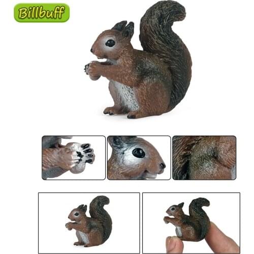 Mini Simulation Solid Wild Animal Figures Lifelike PVC Squirrel Action Static Model Collection Educational Toy for Children Gift