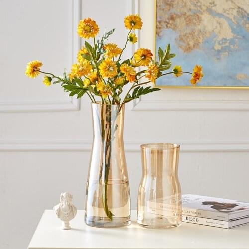 Transparent Nordic Vase Living Room Large Glass Creative Big Planter Pot Flower Terrarium Wohnzimmer Deko Home Design ED50HP