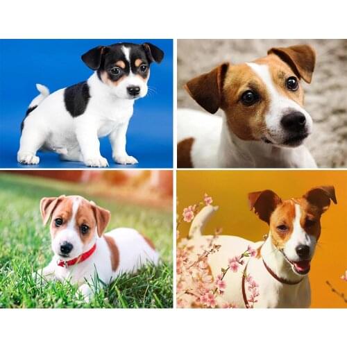 Full Square/Round Drill 5D DIY diamond painting dogs Cub "jack russell terrier" Diamond Embroidery Cross Stitch Home Decor TY733