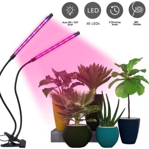 LED Grow Light USB Phyto Lamp Full Spectrum Fitolampy With Control For Plants Seedlings Flower Indoor Fitolamp Grow Box