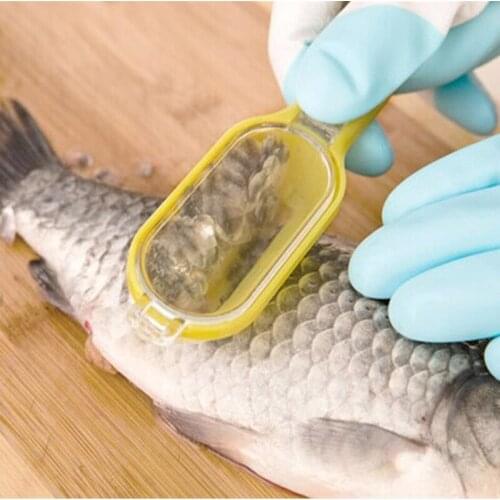 Multifunctional Fish Clean Kill Scale With Cockroaches Knives Fish Cleaning Tools Kitchen Accessories Cooking