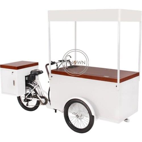 Mobile Electric Ice Cream Tricycle Cargo Bike with Solar Panel Adult Cold Drink Retail Cart
