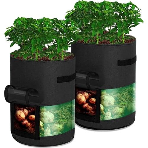 Greenhouse Garden Tools Plant Growing Bags Garden Vegetable Supplies Tomato Potato Carrot Transparent Grow Bags Plant Pot D25