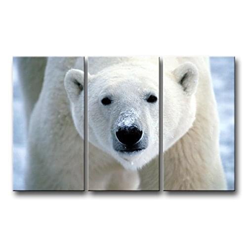 3 Piece Wall Art Painting Polar Bear Face Closeup Prints On Canvas The Picture Animal Pictures Drop shipping