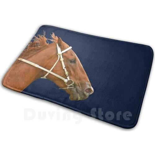 Horse Racing Action 6 Mat Rug Carpet Anti-Slip Floor Mats Bedroom Horse Racing Action Close Up Head Race Quentinjlang Quentin