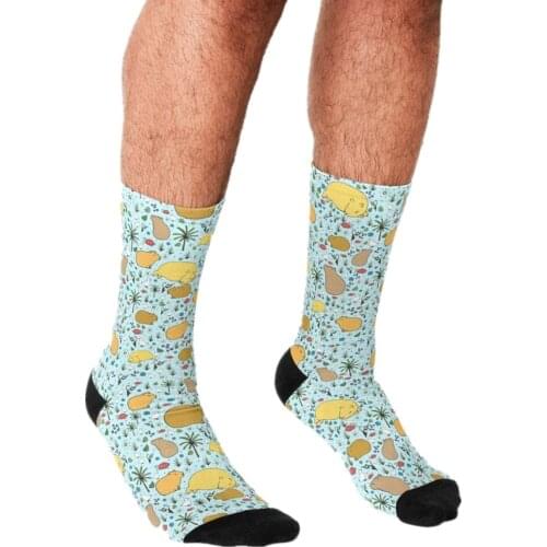 2021 Funny Mens socks Capybaras in Blue Pattern Printed hip hop Men Happy Socks cute boys street style Crazy Socks for men