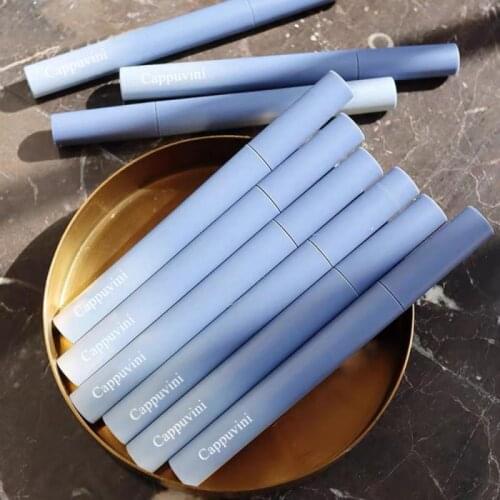 Liquid Glaze Chestnut Velvet Matte Daily Lip Mud Air Mist Smooth Waterproof Lipstick Waterproof Long Lasting Lip Gloss TSLM1