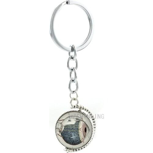Anatomical Eye Ball keychain vintage Human Eye Anatomy image double sides key chain ring holder school doctor men jewelry T238
