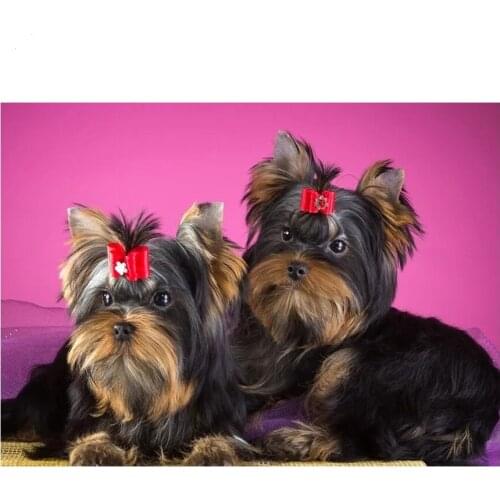 5D Sewing Art Crafts Diamond Embroidery Yorkshire Terrier DIY Diamond Painting Cross Stitch dog pictures Mosaic Kit L857