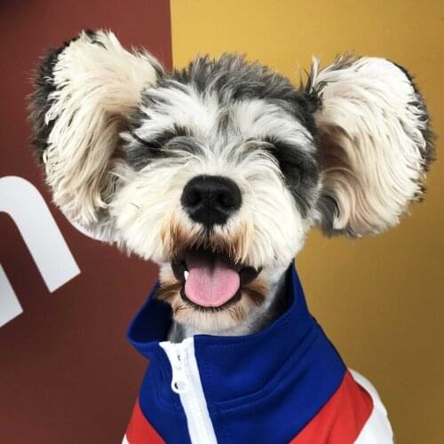 French Bulldog Coat Fashion Schnauzer Jacket Dogs Pets Clothing A13