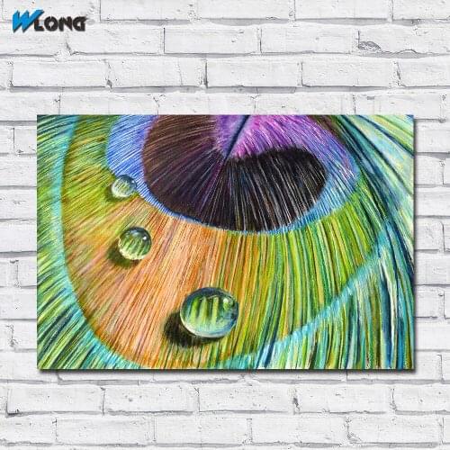 Fashion Printing Oil Painting Abstraction Peacock Feathers and drops Wall Art Canvas Print Pictures For Living Room And Bedroom