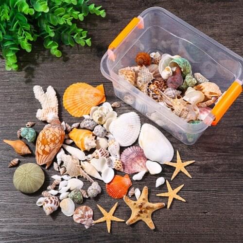 Mixed Ocean Sea shells Wedding Decor Beach Theme Party, Seashells Home Decorations, Fish Tank,Candle Making sea star