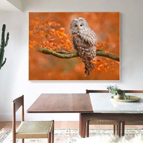 Modern Canvas Art Wall Painting Print Owl Poster Animal Pictures For Home Decoration Landscape Pictures Wall Decor Paintings