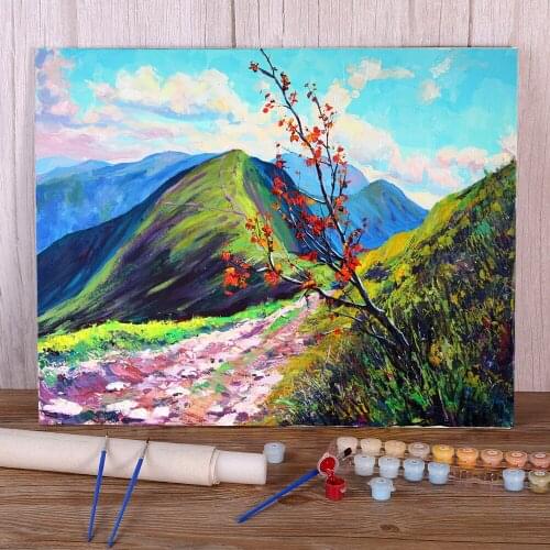 Landscape Borzhava DIY Painting By Numbers Complete Kit Acrylic Paints 40*50 Painting On Canvas Handmade For Handiwork