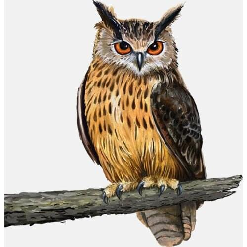 Car Sticker Funny Owl Standing on A Branch Automobiles Motorcycles Exterior Accessories Vinyl Decals for Bmw Audi Vw,16cm*15.4cm
