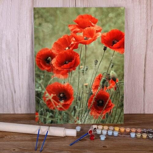 Poppy Flowers DIY Painting By Numbers Package Oil Paints 40*50 Paiting By Numbers Home Decor For Kids Handicraft For Art