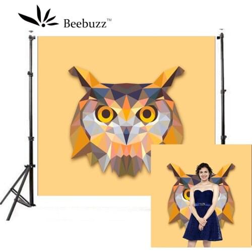 Cartoon Owl Head Photography Backdrop Cartoon Pattern Background Photography Studio Props