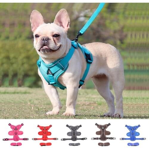 Cat Harness And Leash Set Antiescape Kittens Vest Chest Strap For Small Dog Adjustable Pet Puppy Accessories Sphinx Supplies